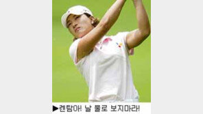 [딴지칼럼]하지만 뭐?