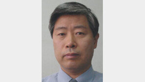 [발언대]이원영/車번호판에 자기 이름 어떨까