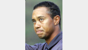 [골프]도박사 “올해는 우즈의 해”