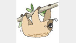 [오늘의 날씨]8월 3일