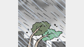 [오늘의 날씨] 8월 6일