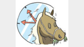 [오늘의 날씨] 8월 26일