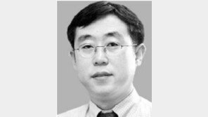 [기자의 눈/천광암] ‘호리에몬’의 몰락,日의 후속조치 궁금해