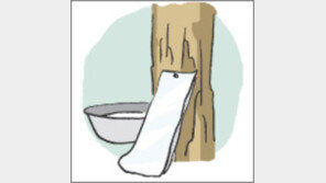 [오늘의 날씨/2월 27일]고로쇠 철