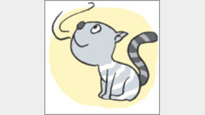 [오늘의 날씨/3월11일]코끝의 봄기운이 애교스럽습니다