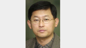 [기자의 눈/박원재]고이즈미가 퇴진 野대표 위로한 까닭은?