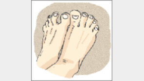 [오늘의 날씨/5월4일]사람의 발은 ‘마당쇠’나 같다.