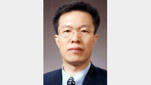 [동아광장/이석연]대한민국 헌법 흔드는 對北거래 말라