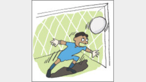 [오늘의 날씨/6월 15일]축구에서 골이란 꽃과 같다