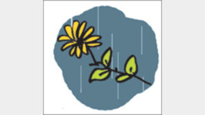 [오늘의 날씨/6월24일]날씨의 고마움