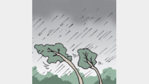 [오늘의 날씨/7월 10일]태풍에 대해 예언!