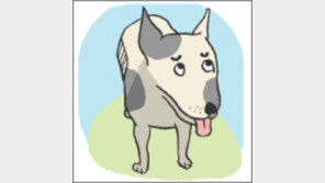 [오늘의 날씨/7월 20일]연꽃이 눈부시게 올라오는 계절