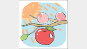 [오늘의 날씨/8월25일]농민들 웃을수 있다면 늦더위쯤이야