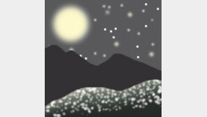 [오늘의 날씨/9월 11일]산허리 흐드러지게 핀 하얀 메밀꽃