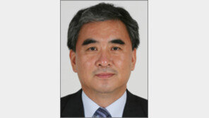 [동아광장/이영훈]‘한국의 특수사정’이 뭐기에