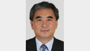 [동아광장/이영훈]박정희 모델을 다시 본다