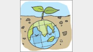 [오늘의 날씨/11월 18일]국화꽃 져 가는 늦가을 꽃밭