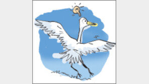 [오늘의 날씨/11월 24일]‘새 머리’라고 비웃지 마라