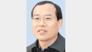 [전문가와 떠나는 부동산 여행]놀라운 성형