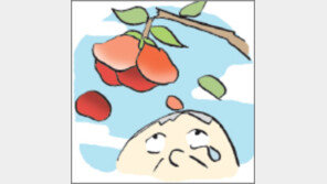 [오늘의 날씨/1월 29일]동백나무화분서 꽃망울터지는 소리