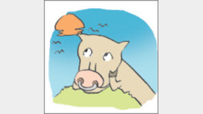 [오늘의 날씨/2월16일]또 한생이 흘러가고 있다