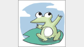 [오늘의 날씨/3월 6일]봄눈이 천지에 어지럽다