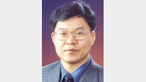 [시론/황인학]적대적 M&A 앞에 벌거벗은 한국기업