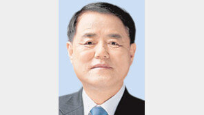 LG 김쌍수 부회장 다시 힘 받나