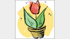 [오늘의 날씨/3월 21일]그 많던 시간은 어디로 갔을까