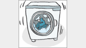 [오늘의 날씨/3월24일]사람이나 날씨나 ‘변덕’은 매한가지