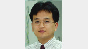 [기자의 눈/민동용]손호철 교수님께