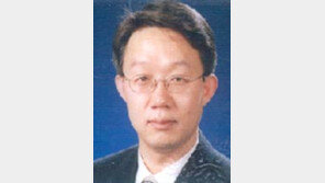 [한미FTA 긴급시론<2>/이한영]이제 우리끼리의 협상이 남았다