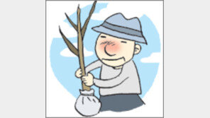 [오늘의 날씨/4월5일]식목일은 미래를 위한 기념일
