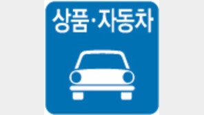 자동차 세제 간소화…정부 세수 4000억 원 줄 듯