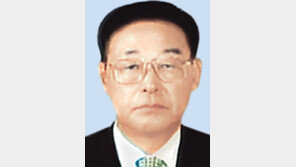 北 신임 총리 김영일 선임