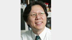 [기고/김성훈]신약 개발 국가가 앞장서라