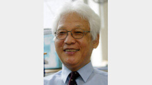 [유종호 칼럼]비관론의 효용