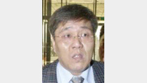 '병풍' 김대업씨 이번엔 땅 사기혐의 불구속입건