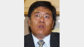 ‘병풍’ 김대업씨 땅 사기혐의 입건