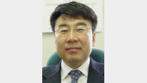 [시론/김성수]정치브로커를 내쳐라