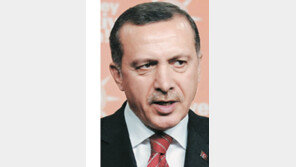 “터키대선 1차투표 정족수 미달 무효”