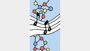 [헉! 튀는 과학]단백질 서열을 오선지에…