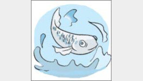 [오늘의 날씨/5월29일] 영산강 하류  숭어잡이 한창