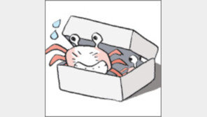 [오늘의 날씨/6월2일]사지를 딱 붙인 채 눈만 껌뻑껌뻑