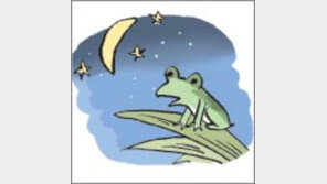 [오늘의 날씨/6월 8일]한 생이 가고 또 한 생이 열리고 있다