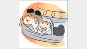 [오늘의 날씨/6월 12일]더위는 우아함과 거리가 멀다