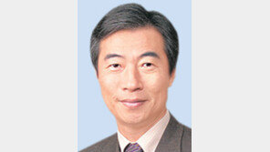 [동아광장/정종섭]‘도금시대’에 갖는 유감