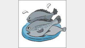 [오늘의 날씨/6월18일]민어의 살이 통통해졌다