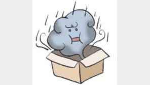 [오늘의 날씨/8월 3일]태풍 ‘우사기’에 손실 입지 않도록