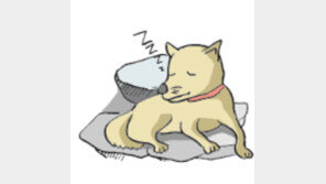 [오늘의 날씨/9월 28일]가을이 고즈넉이 무르익어 간다